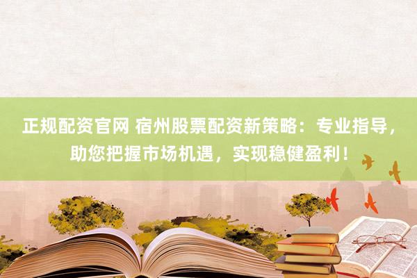 正规配资官网 宿州股票配资新策略：专业指导，助您把握市场机遇，实现稳健盈利！