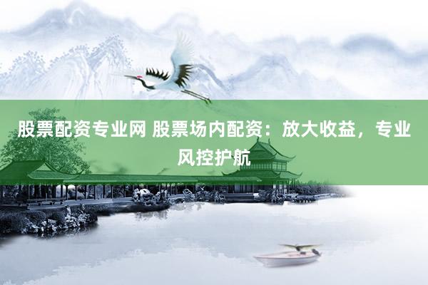 股票配资专业网 股票场内配资：放大收益，专业风控护航