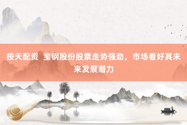 按天配资  宝钢股份股票走势强劲，市场看好其未来发展潜力