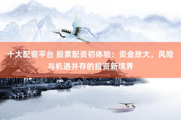 十大配资平台 股票配资初体验：资金放大，风险与机遇并存的投资新境界