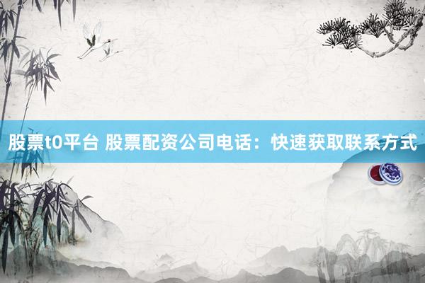 股票t0平台 股票配资公司电话：快速获取联系方式