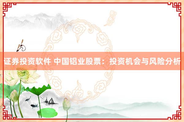 证券投资软件 中国铝业股票：投资机会与风险分析