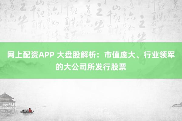 网上配资APP 大盘股解析：市值庞大、行业领军的大公司所发行股票