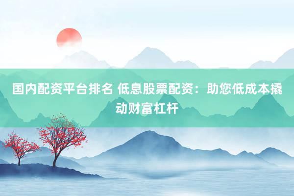国内配资平台排名 低息股票配资：助您低成本撬动财富杠杆