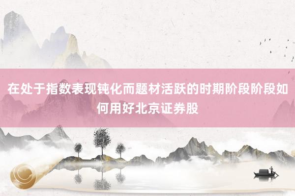 在处于指数表现钝化而题材活跃的时期阶段阶段如何用好北京证券股