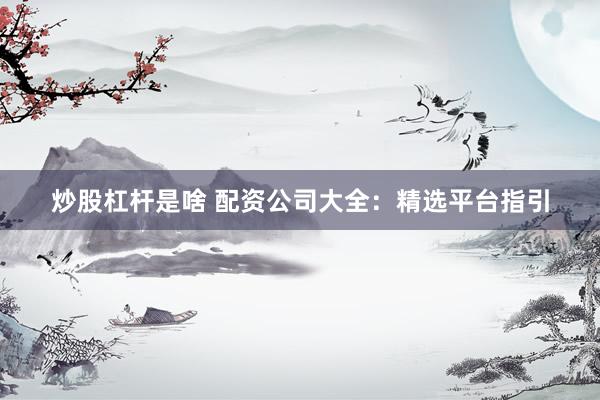 炒股杠杆是啥 配资公司大全:精选平台指引